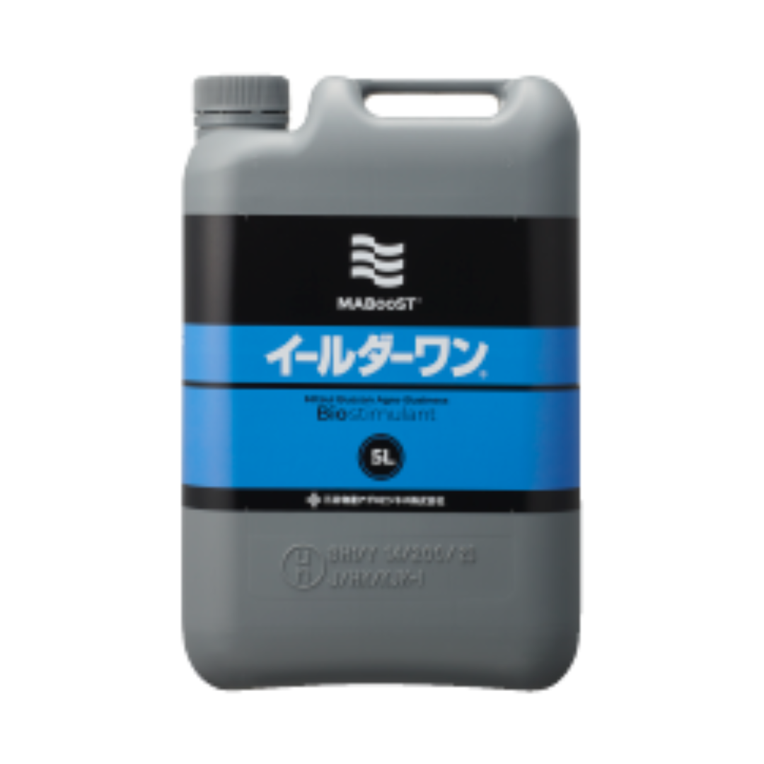 5W1H(ゴダブリュウイチエイチ)オードパルファム01ミネラル9.5割