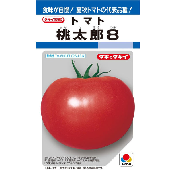 トマト　桃太郎8(エイト）トマト　タキイ種苗