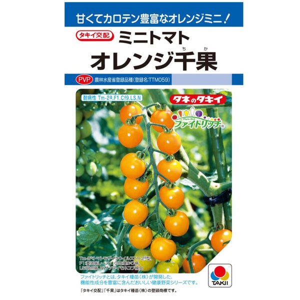 ミニトマト　オレンジ千果トマト　タキイ種苗