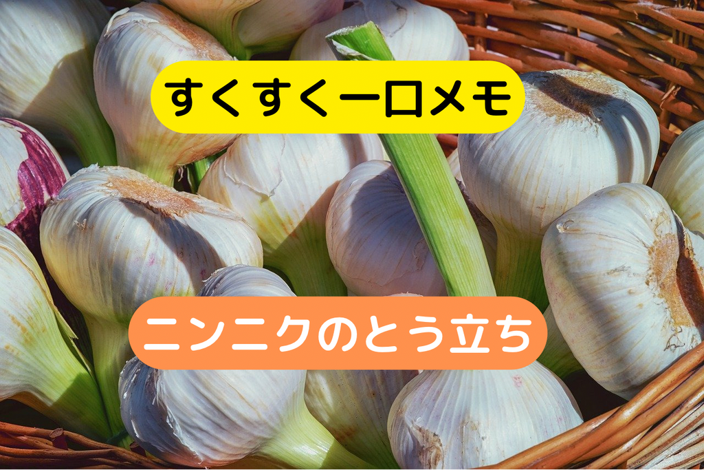 ニンニクともひろ A1BE2F51-BE12-4BEA-8140-