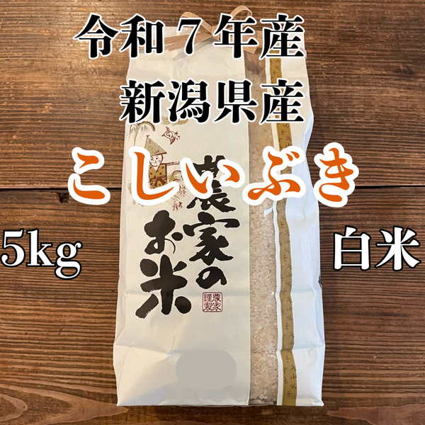 【再入荷しました】こしいぶき　白米　5kg　令和7年産　新潟県産　