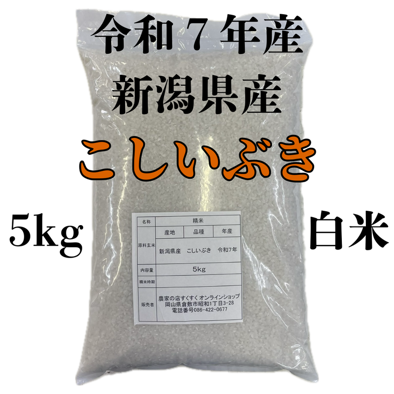 【2025年9月9日から順次発送】新米　5kg　令和7年産　新潟県産　こしいぶき　白米　　