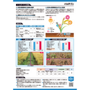イールダーワン　1L・5L　穀物の登熟を増進するバイオスティミュラント資材