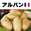 【売り切れ】種芋　春作用　アルバン　1kg　PVP