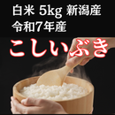 【再入荷しました】こしいぶき　白米　5kg　令和7年産　新潟県産　