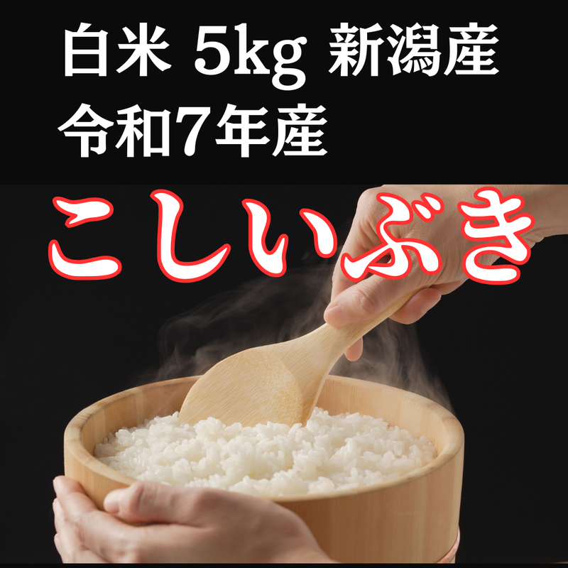 【2025年9月9日から順次発送】新米　5kg　令和7年産　新潟県産　こしいぶき　白米　　