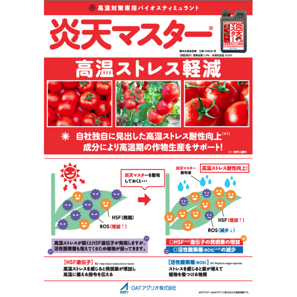炎天マスター 1L 高温ストレス軽減 バイオスティミュラント