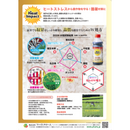 ヒートインパクト　1L・4L　酷暑に打ち克つ　水稲・大豆・麦類・露地野菜・果樹などに