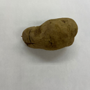 【訳あり・割れあり】種芋　春作用　ノーザンルビー　約1kg　PVP