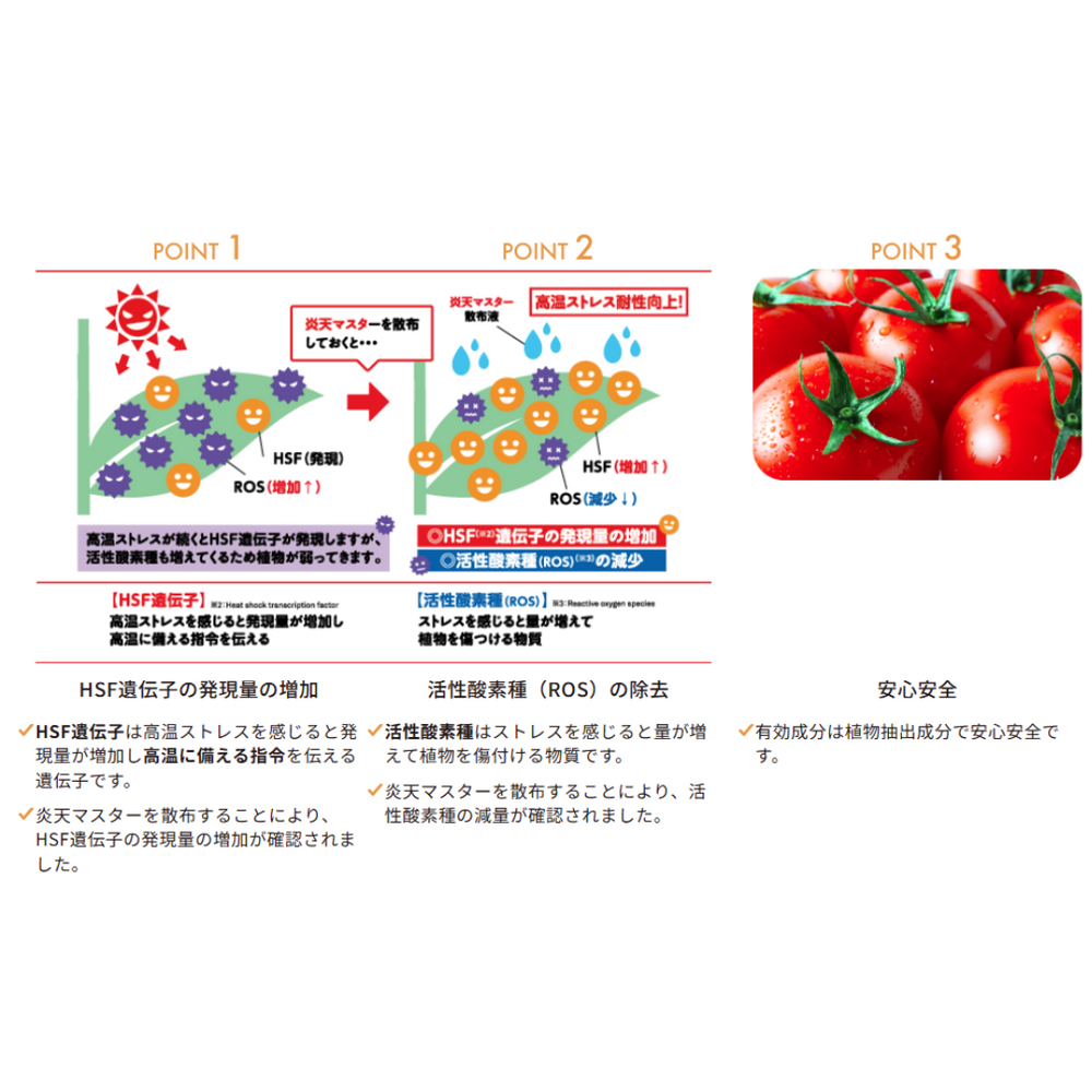 炎天マスター 1L 高温ストレス軽減 バイオスティミュラント