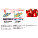 炎天マスター　1L　高温ストレス軽減　バイオスティミュラント