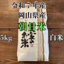 朝日米  白米 5kg 2025年産　令和7年度産　岡山県産