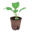 ジフィーポット　直径5.5cm　40個1組　サカタのタネ