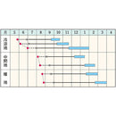 タキイ種苗　キャベツ・彩ひかり  DF1.2ml　寒さに強い鮮緑の冬どり種