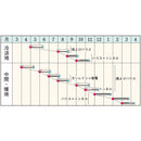 タキイ種苗　葉ダイコン・ハットリくん　GF 30ml 葉大根　プランターでも手軽に作れる