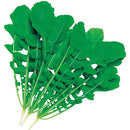 タキイ種苗　葉ダイコン・ハットリくん　GF 30ml 葉大根　プランターでも手軽に作れる