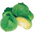 タキイ種苗　キャベツ・彩ひかり  DF1.2ml　寒さに強い鮮緑の冬どり種