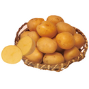 【売り切れ】種芋　秋作用　普賢丸   500g  PVP じゃがいも　ふげんまる　種イモ