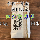 コシヒカリ 白米 5kg 2025年産　令和7年度産　岡山県産　お米　こしひかり