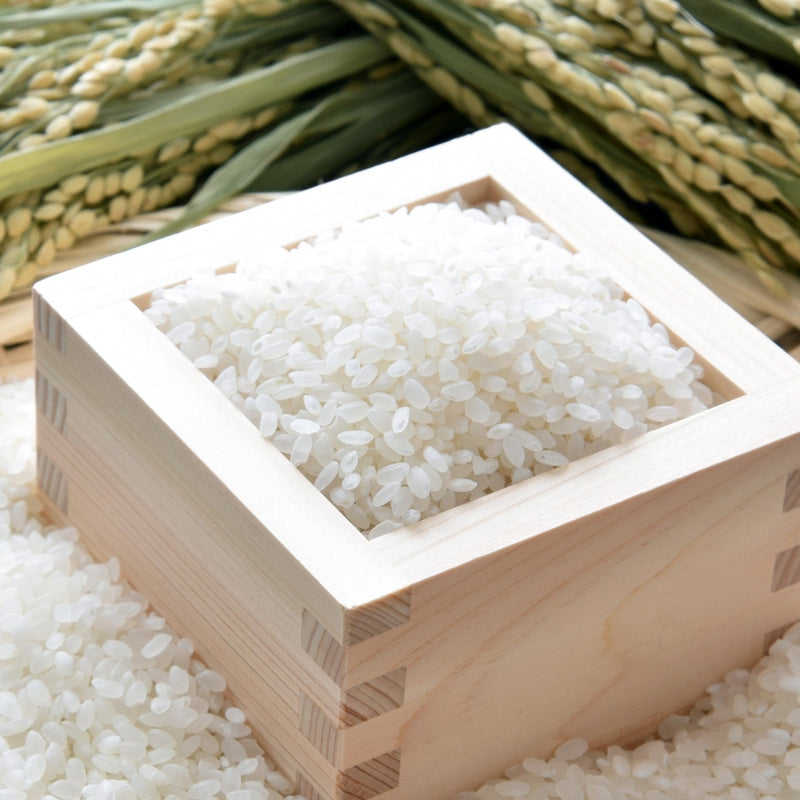朝日米　玄米10kgを精米　米/穀物