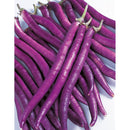 ナス　マー坊　0.6ml　サカタのタネ　