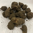 タネイモ　菊芋　赤キクイモ　500g