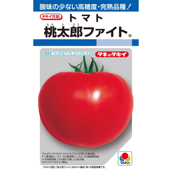 トマト　桃太郎ファイトトマト　タキイ種苗