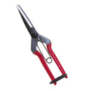 近正 青果鋏　T-700