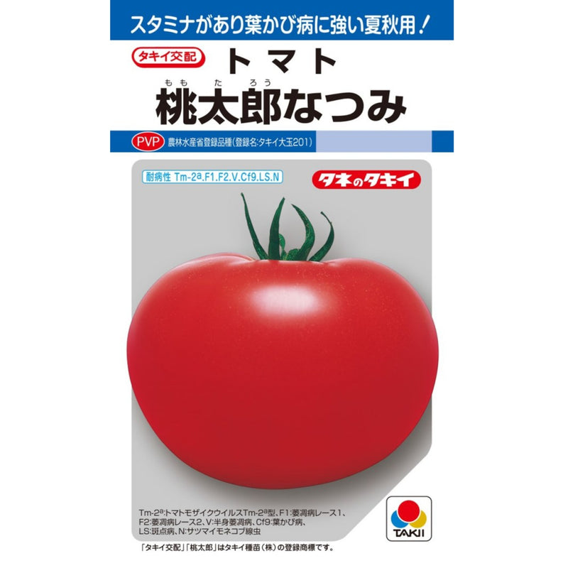 トマト　桃太郎なつみトマト　タキイ種苗