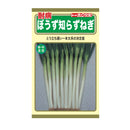 耐病ぼうず知らずねぎ　トーホク　【お取り寄せ商品】