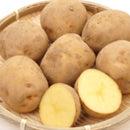 【売り切れ】種芋　春作用　キタアカリ　1kg・2kg 　PVP　たねいも