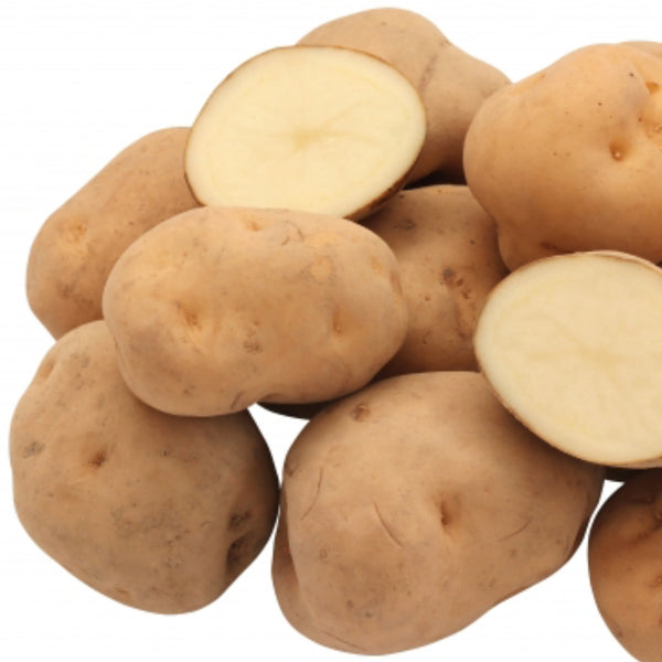種芋　◆春作用　男爵薯(だんしゃくいも)　1kg･2kg