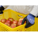 アトム　ケミソフトラプター　No.1489