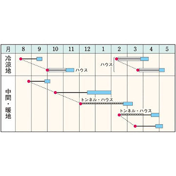 タキイ種苗　ホウレンソウ・強力オーライ　1DL  1dl 栽培しやすく株張りが良い多収種法蓮草