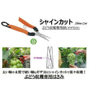 サボテン　ぶどう収穫専用シャインカット B-8