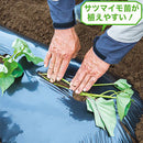 菜園用　サツマイモ 黒マルチ　95cm×50m　※宅配便※　