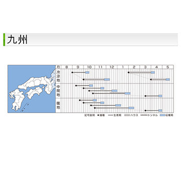 タキイ種苗　ホウレンソウ・牛若丸　GF 27ml  株張りの良い秋冬どり多収種ほうれん草