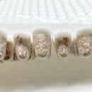 形成菌　しいたけ　Ｎ１１５　栽培　1シートからOK　　1シート460個　N115　シイタケ