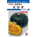 南瓜　えびす南瓜　タキイ種苗